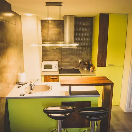 Nitrianske Pravno Apartment *